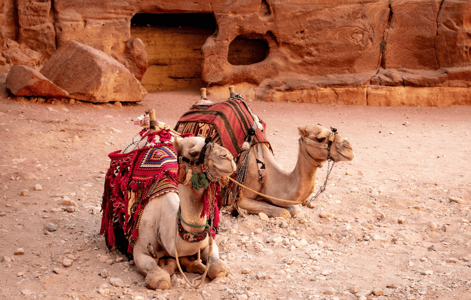Thành phố cổ Petra