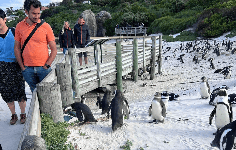 Boulders Beach