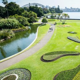 Vườn Bách thảo Hoàng gia – Botanic Garden Sydney