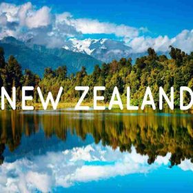 BIỂU TƯỢNG CỦA NEW ZEALAND