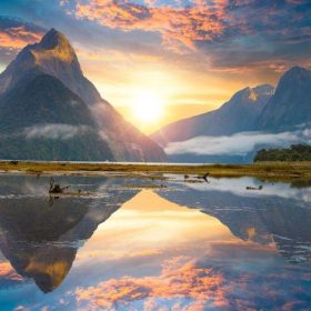 Bí ẩn vùng đất của NEW ZEALAND (P.2)