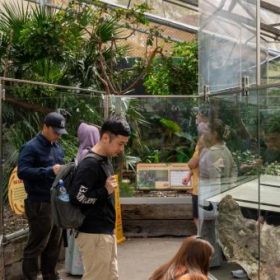 Công viên Wildlife Park – Vườn thú Wildlife Sydney