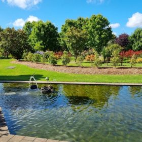 Vườn quốc gia Dandenong: Lá phổi xanh của Melbourne!