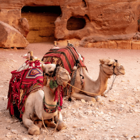 THÀNH PHỐ CỔ PETRA – KỲ QUAN ĐÁ HỒNG GIỮA SA MẠC JORDAN